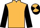 jockey silks