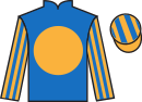 jockey silks