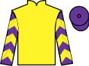jockey silks