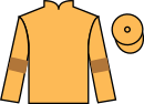 jockey silks