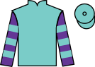 Jockey silks for Cool Hoof Luke