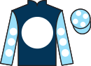 Jockey silks for War Howl (IRE)