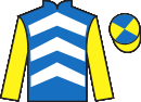 Jockey silks for Hunter Legend (FR)