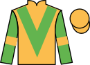 jockey silks