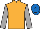 jockey silks