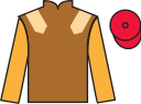 jockey silks