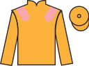 jockey silks