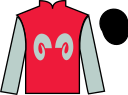 jockey silks